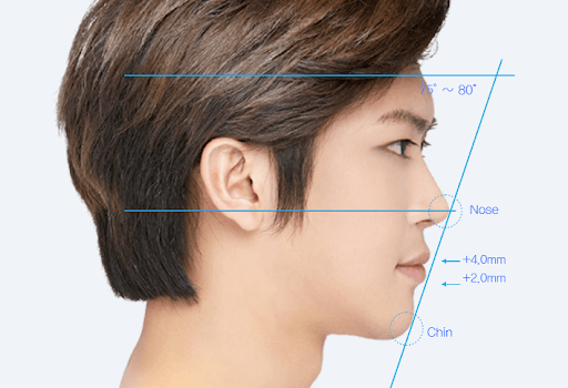 Tỷ lệ dáng mũi dành cho nam giới